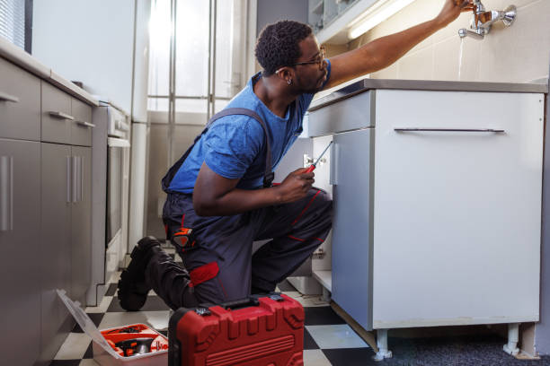 Best Toilet Repair Services  in Columbus, MN